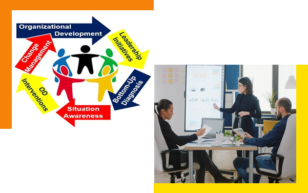 People and Organizational Development